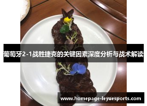 葡萄牙2-1战胜捷克的关键因素深度分析与战术解读 葡萄牙2-1战胜捷克的关键因素深度分析与战术解读