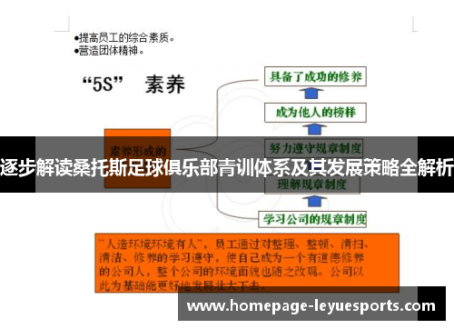 逐步解读桑托斯足球俱乐部青训体系及其发展策略全解析 逐步解读桑托斯足球俱乐部青训体系及其发展策略全解析