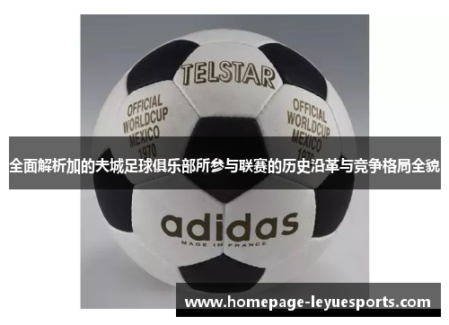 全面解析加的夫城足球俱乐部所参与联赛的历史沿革与竞争格局全貌 全面解析加的夫城足球俱乐部所参与联赛的历史沿革与竞争格局全貌