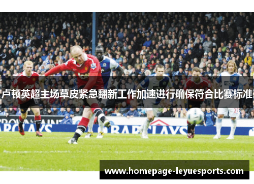 卢顿英超主场草皮紧急翻新工作加速进行确保符合比赛标准