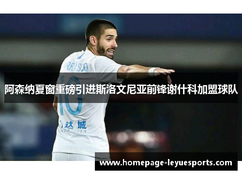 阿森纳夏窗重磅引进斯洛文尼亚前锋谢什科加盟球队 阿森纳夏窗重磅引进斯洛文尼亚前锋谢什科加盟球队