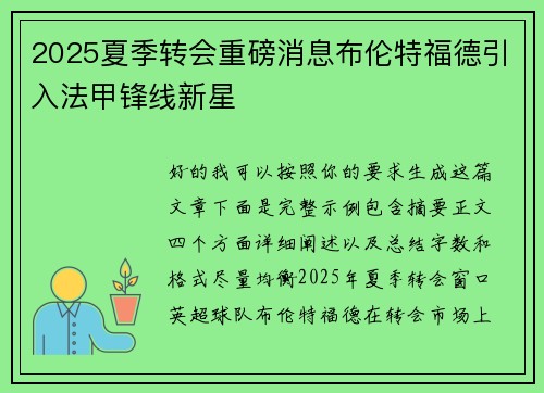 2025夏季转会重磅消息布伦特福德引入法甲锋线新星